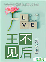王不见后[娱乐圈]小说