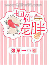 把你宠胖小说