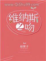 维纳斯之吻小说