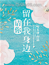 请你留在我身边小说