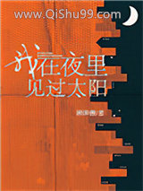 我在夜里见过太阳小说
