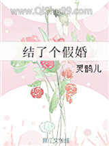 结了个假婚小说