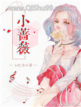 小蔷薇小说