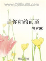 当你如约而至小说