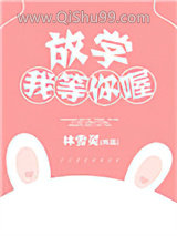 放学我等你喔小说