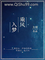 乘风入梦小说