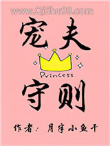 宠夫守则小说