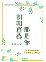 朝朝暮暮都是你小说