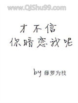 才不信你暗恋我呢小说
