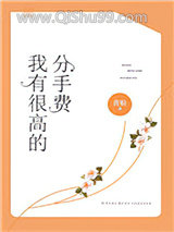 我有很高的分手费小说