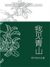 我见青山小说