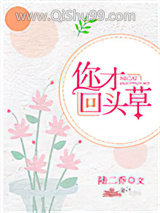 你才回头草小说
