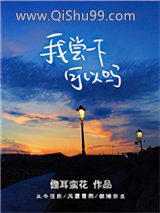 我尝一下可以吗小说