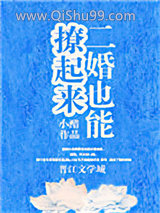 二婚也能撩起来小说
