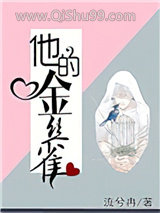 他的金丝雀小说