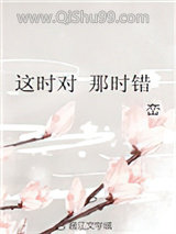 这时对 那时错小说