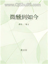 微醺到如今小说