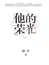 他的荣光小说