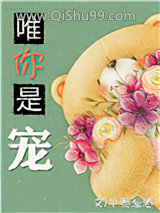 唯你是宠[娱乐圈]小说