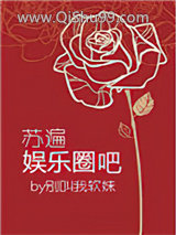 苏遍娱乐圈吧小说