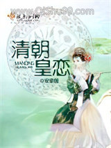 清朝皇恋小说