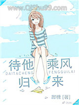 待他乘风归来小说