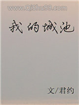 我的城池小说