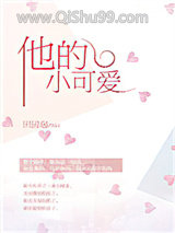 他的小可爱小说