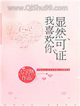 显然可证，我喜欢你小说
