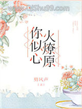 你似心火燎原小说