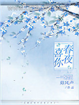 春夜喜你小说