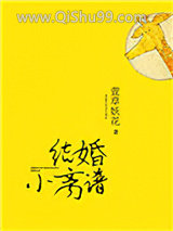 结婚小离谱小说