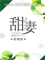 甜妻小说