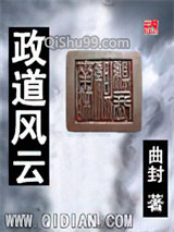 政道风云小说