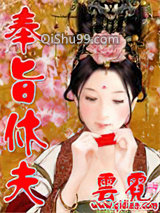 奉旨休夫小说