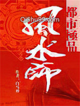 都市极品风水师小说