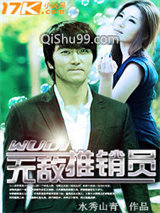 无敌推销员小说