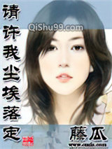 请许我尘埃落定小说