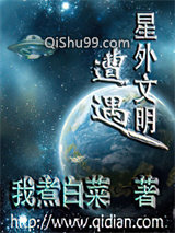遭遇星外文明小说