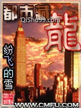 都市藏龙小说