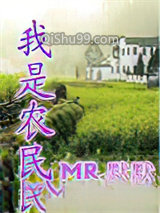 我是农民小说