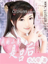 我的小妾是吕后小说