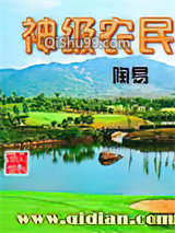 神级农民小说