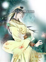 华音阁小说