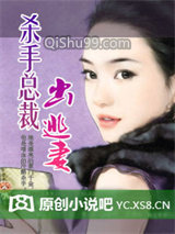 杀手总裁的出逃妻小说