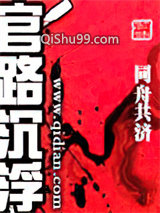 官路沉浮小说