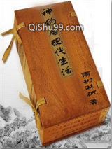 神的后现代生活小说