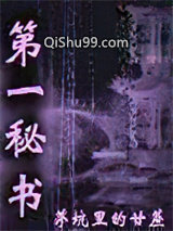 第一秘书小说