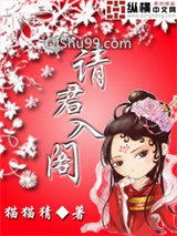 请君入阁小说
