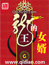 龙王的女婿小说